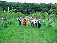 img 7225