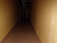 DSCF8346