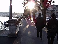 DSCF8431